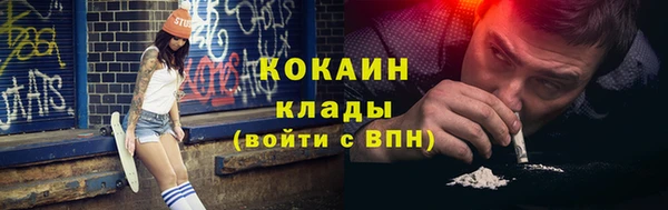 шишки Верхний Тагил