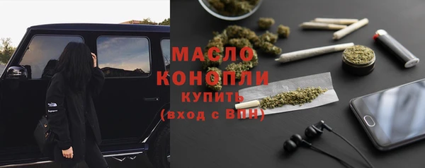 шишки Верхний Тагил