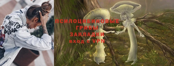 шишки Верхний Тагил